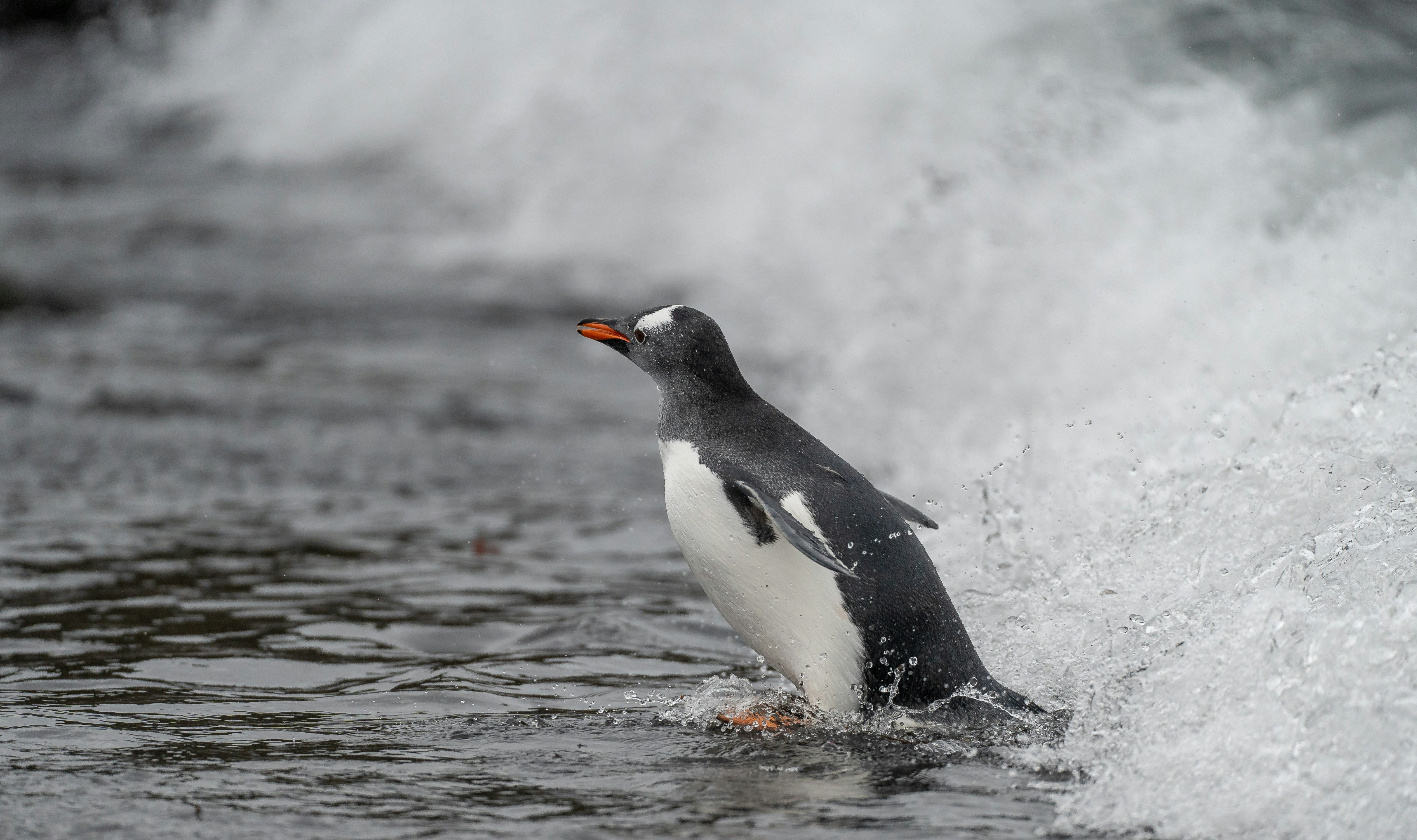 Prochaine vague dans 1 seconde ; la suivante dans 4 secondes. Cr&eacute;dits photo : Bob Brewer sur Unsplash